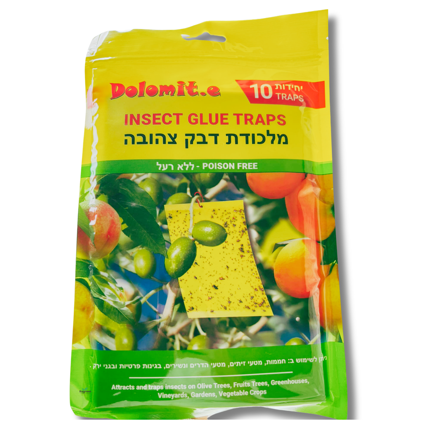 מלכודות דבק נגד זבובים ומעופפים אחרים