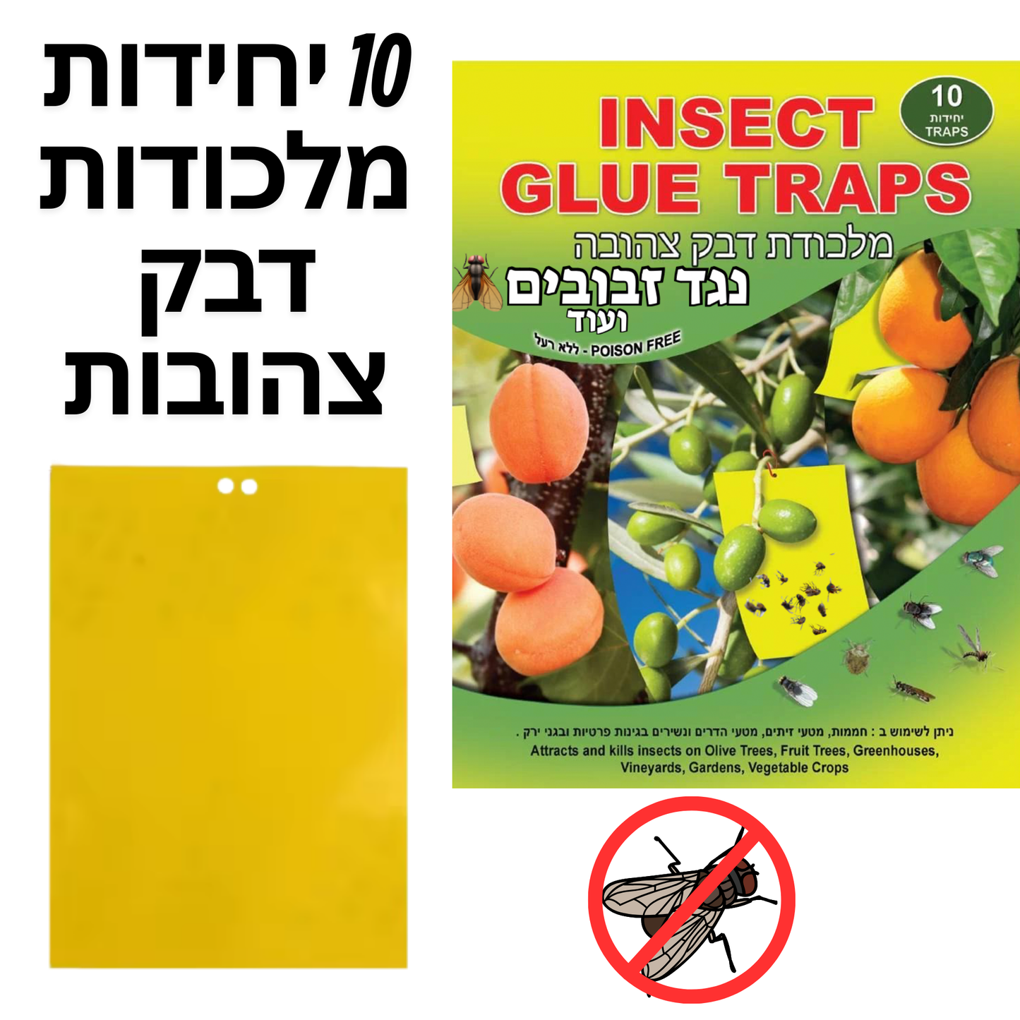 מלכודות דבק נגד זבובים ומעופפים אחרים
