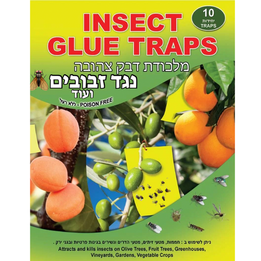 מלכודות דבק נגד זבובים ומעופפים אחרים