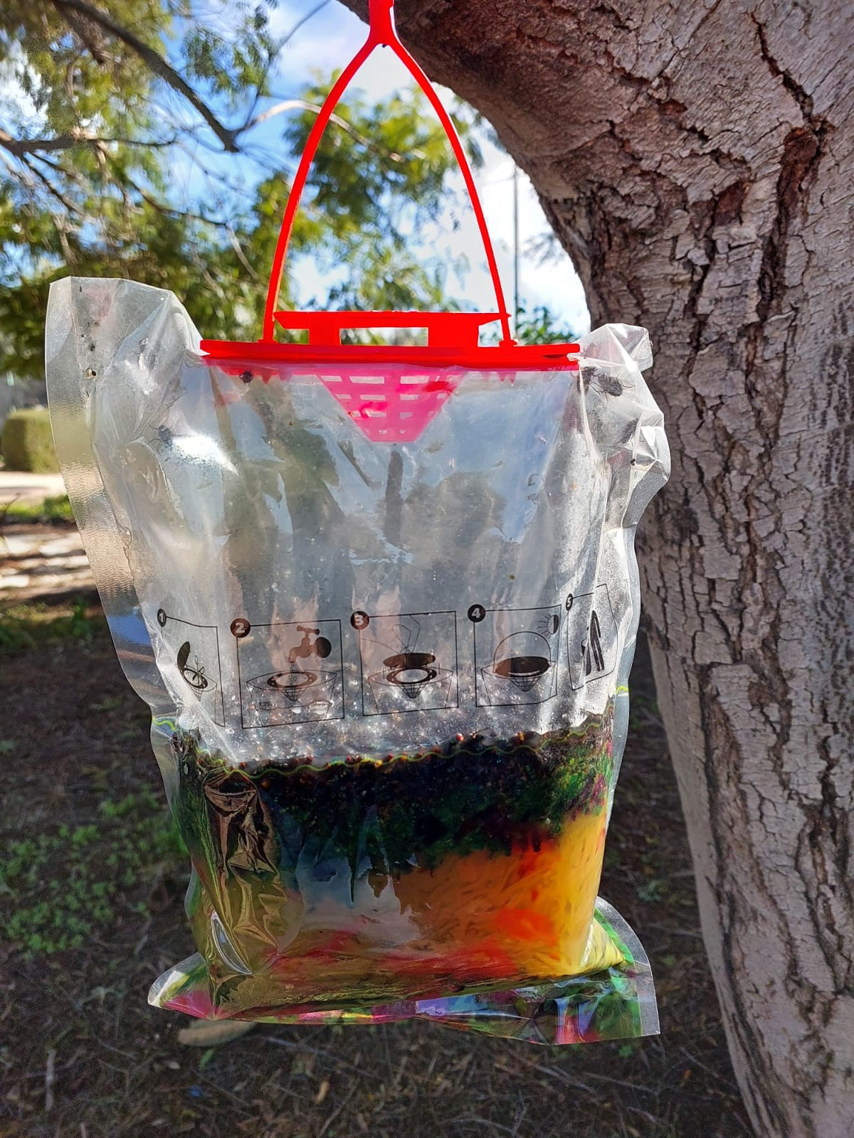 4-FLY TRAP מלכודת זבובים בשקית חד פעמית
