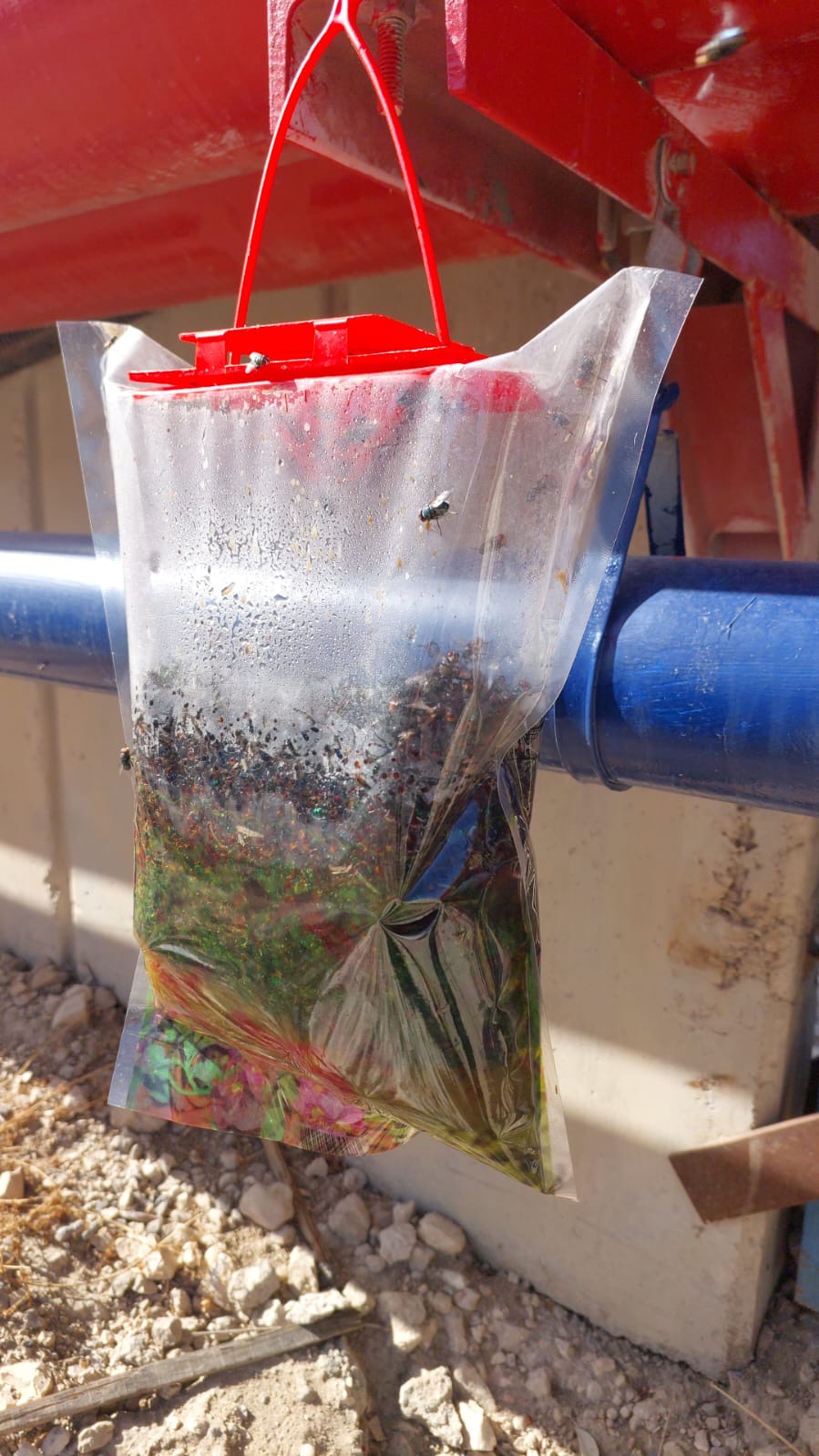 4-FLY TRAP מלכודת זבובים בשקית חד פעמית